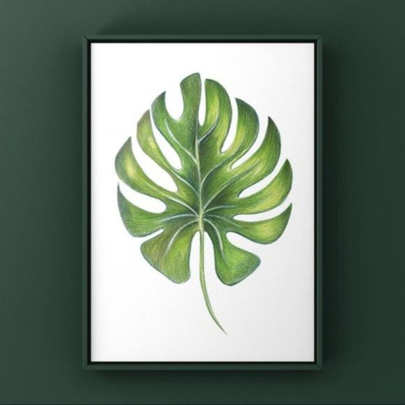 Large Monstera green leaf art print for home decor - Picture 1 of 2